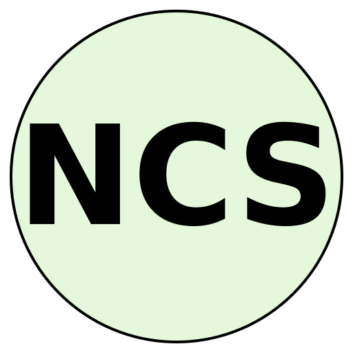NexCareer Solutions